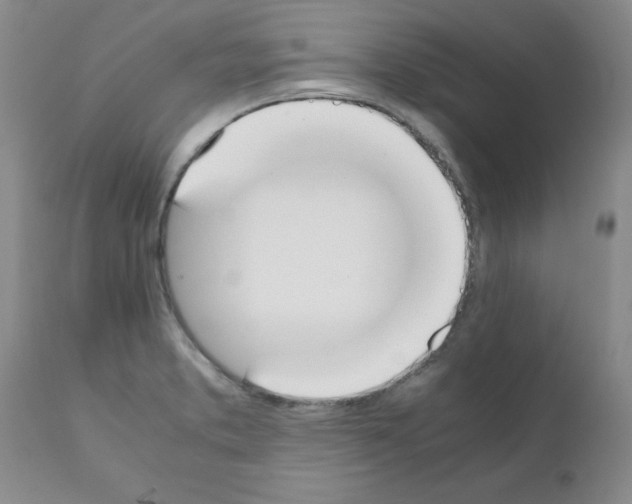 X0000111491373200908251015