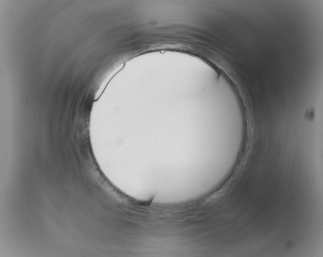 X0000111491377200908251015