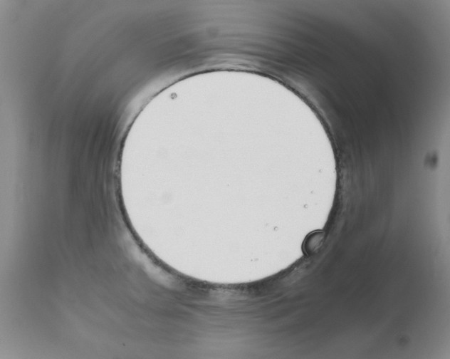 X0000111491379200908251015