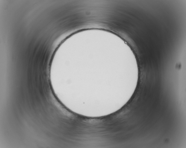 X0000111491380200908251015