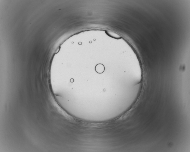 X0000111491381200908251015