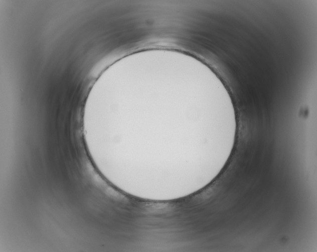 X0000111491382200908251015