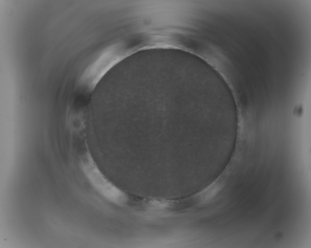 X0000111491385200908251015