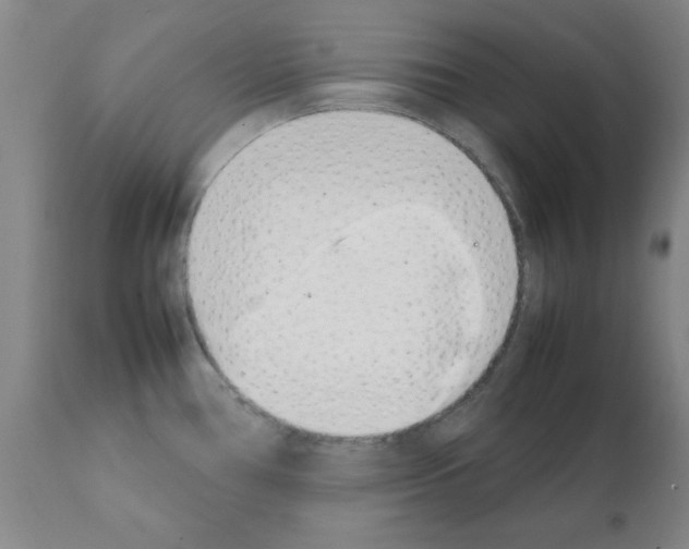 X0000111491386200908251015