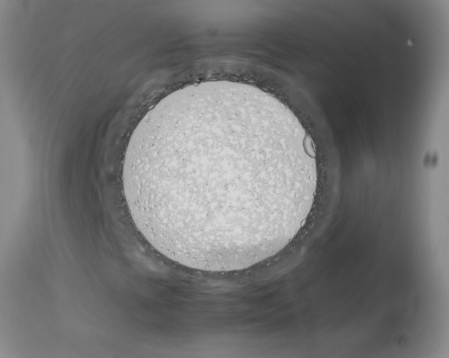 X0000111491393200908251014