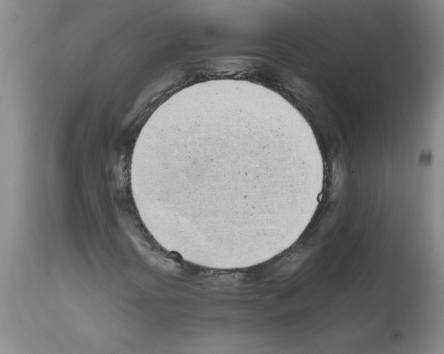 X0000111491394200908251014