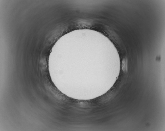 X0000111491395200908251014