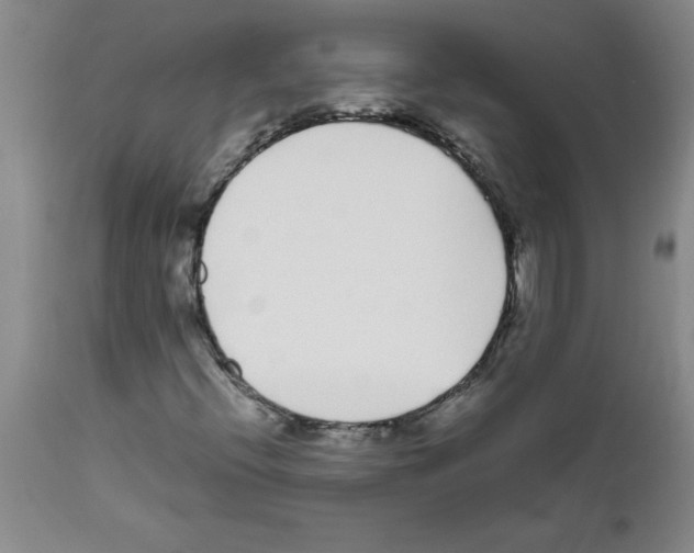 X0000111491396200908251014