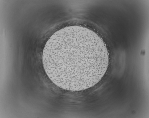 X0000111491397200908251014