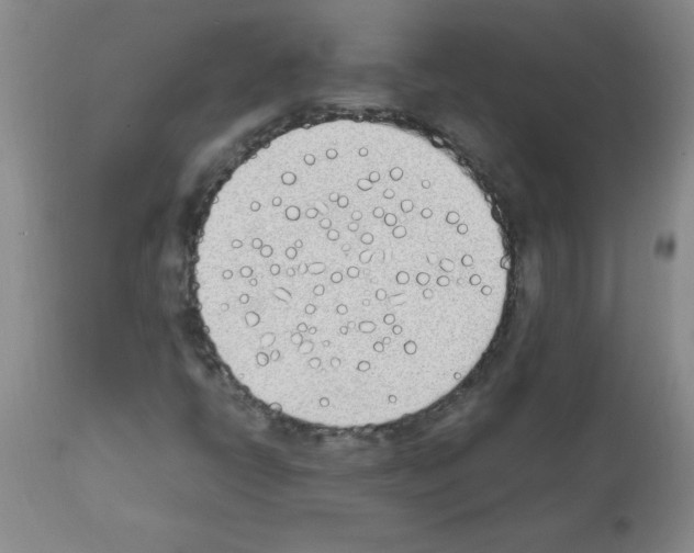 X0000111491398200908251014