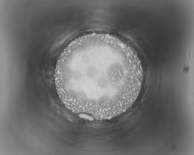 X0000111491399200908251014