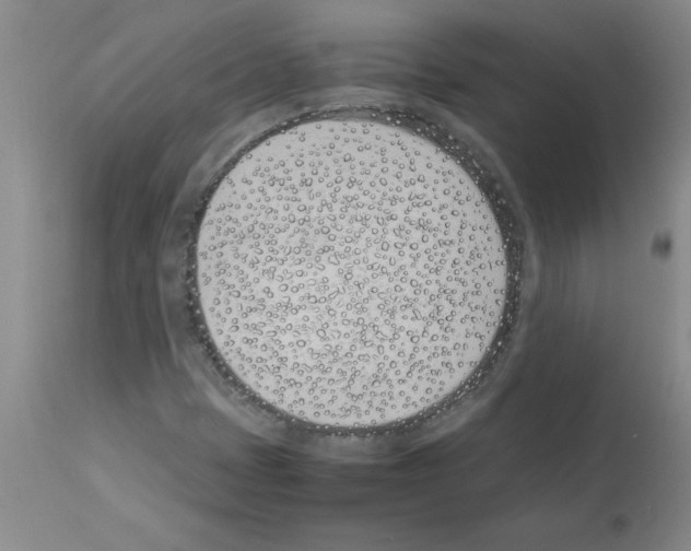 X0000111491401200908251014