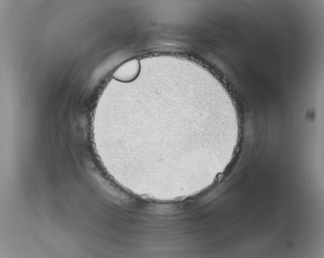 X0000111491402200908251014