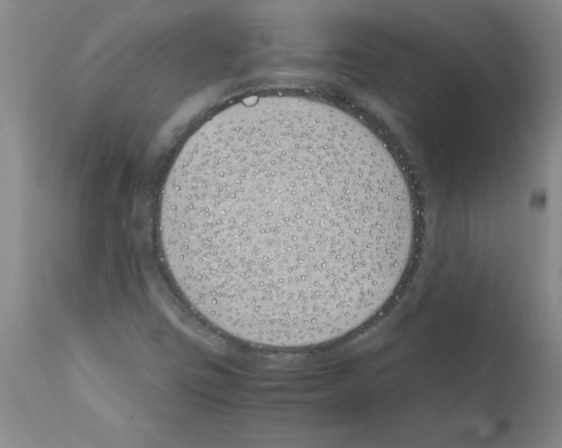 X0000111491403200908251014