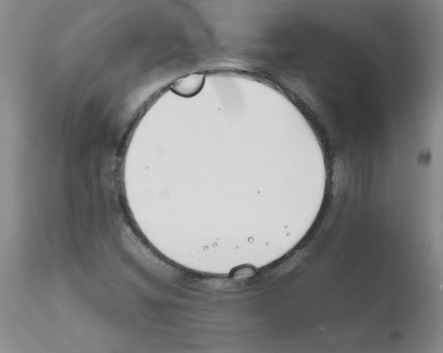 X0000111491404200908251014