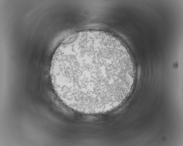 X0000111491405200908251014
