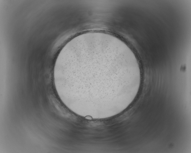 X0000111491407200908251015