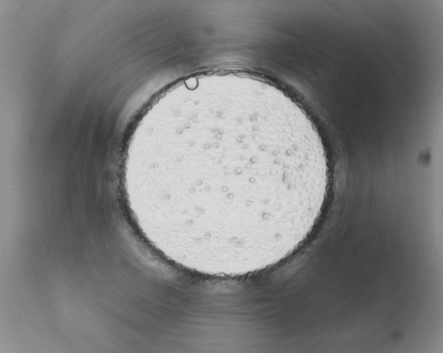 X0000111491410200908251015