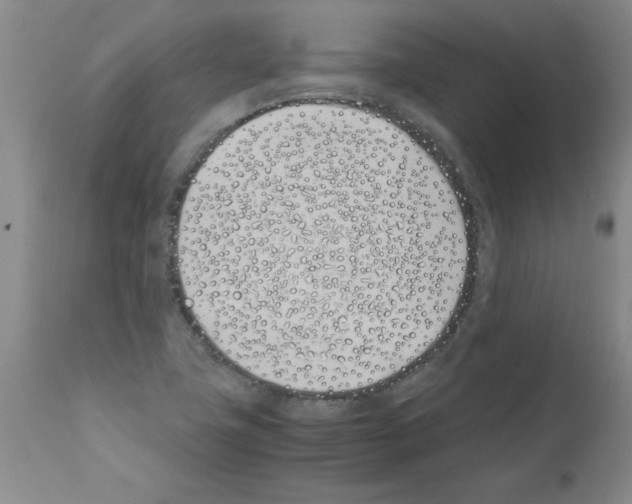 X0000111491411200908251015