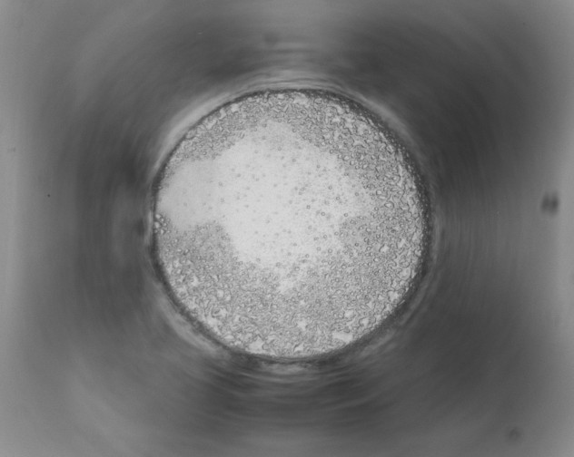 X0000111491413200908251015