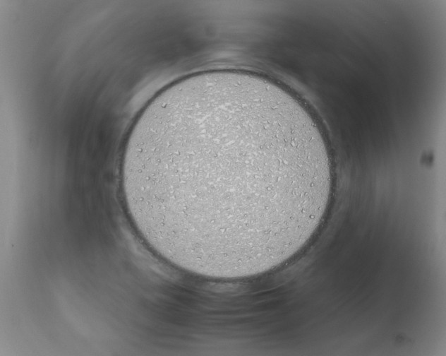 X0000111491415200908251015