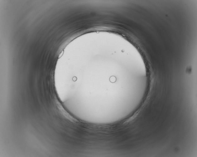 X0000111491417200908251015