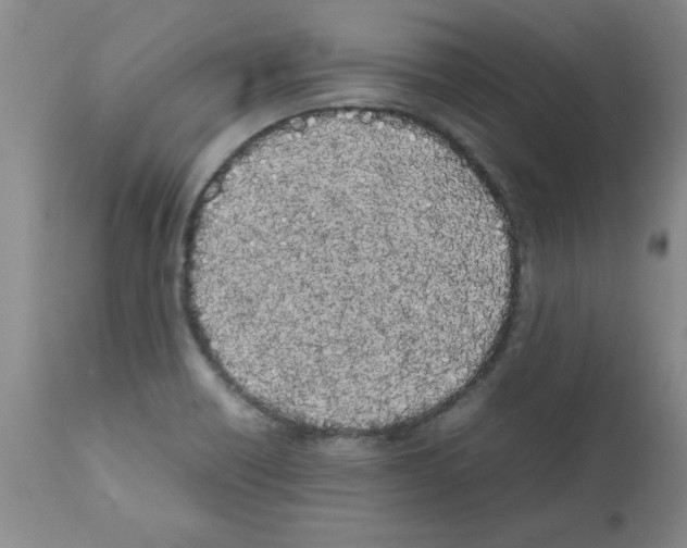 X0000111491418200908251015