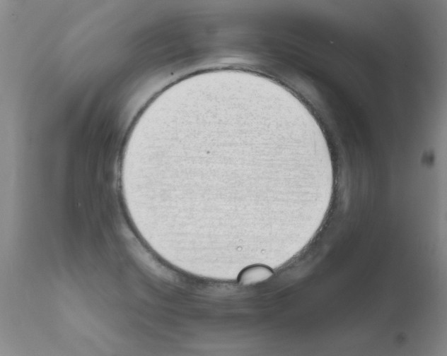 X0000111491420200908251015