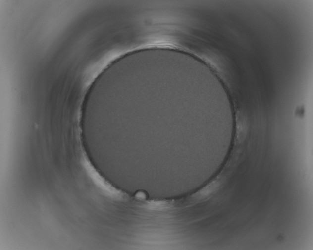 X0000111491422200908251015