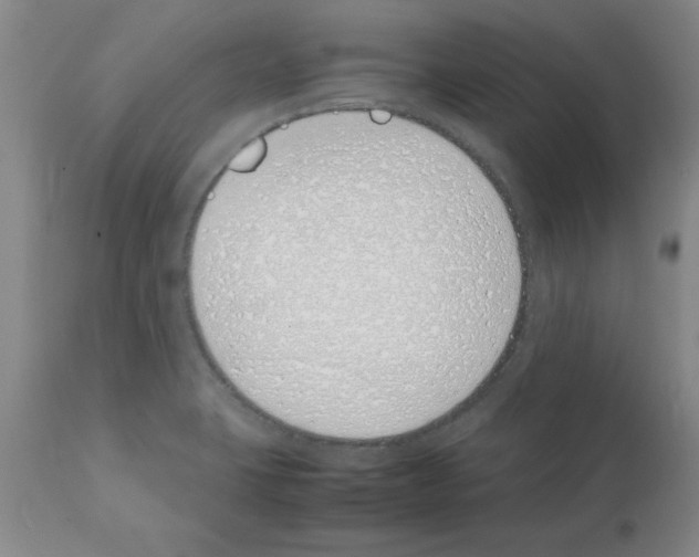 X0000111491423200908251015
