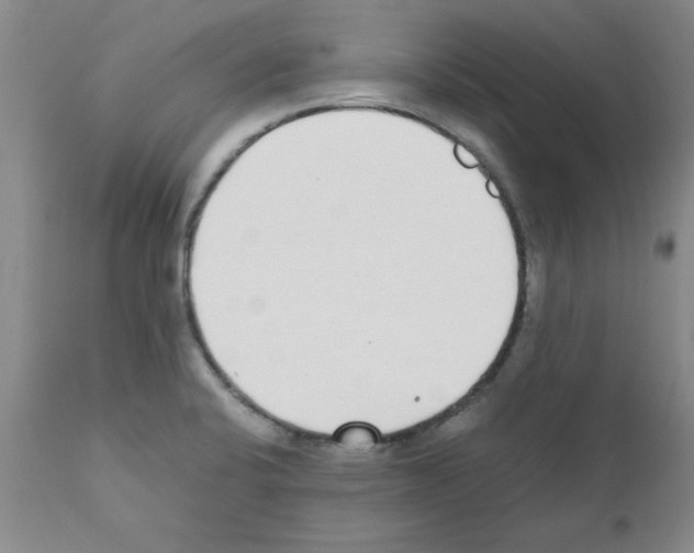 X0000111491424200908251015