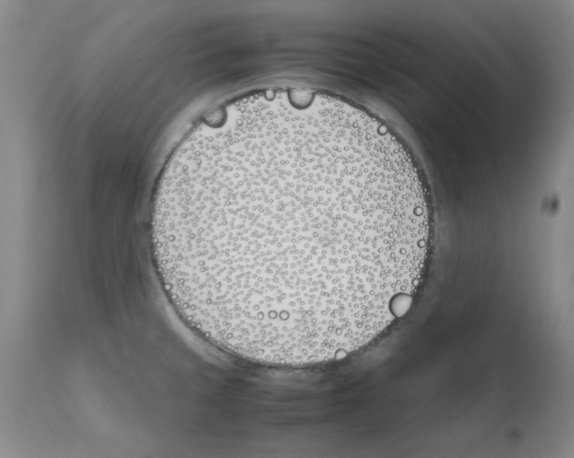 X0000111491429200908251015