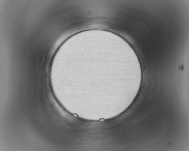 X0000111491430200908251015
