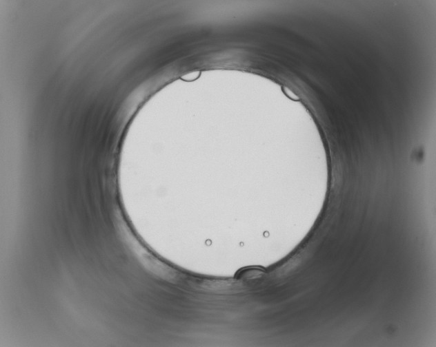 X0000111491434200908251015