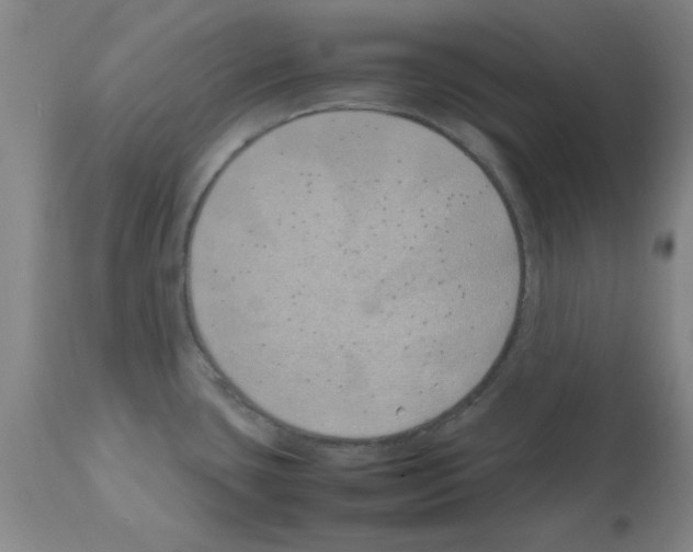 X0000111491435200908251015