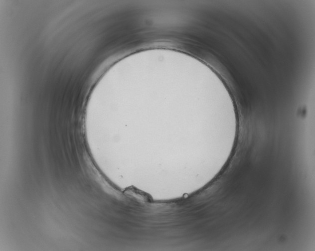 X0000111491436200908251015