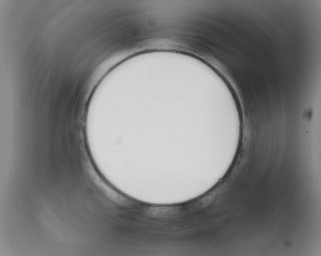X0000111491437200908251015
