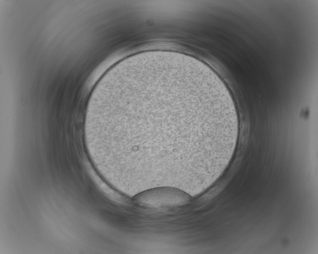 X0000111491438200908251015