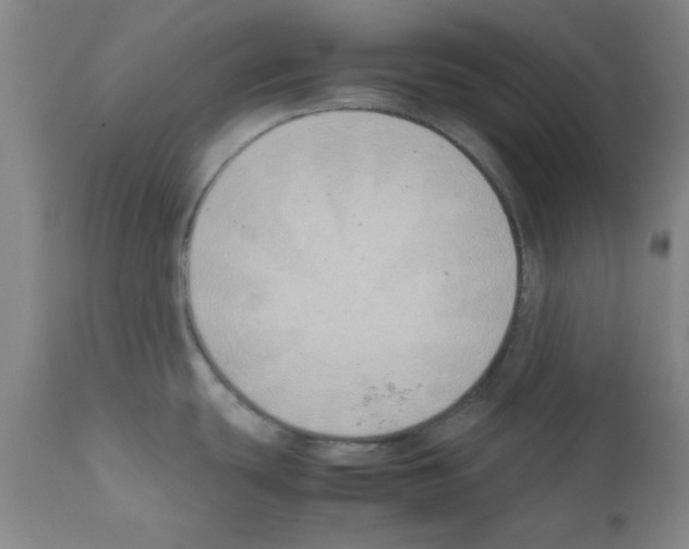 X0000111491439200908251015