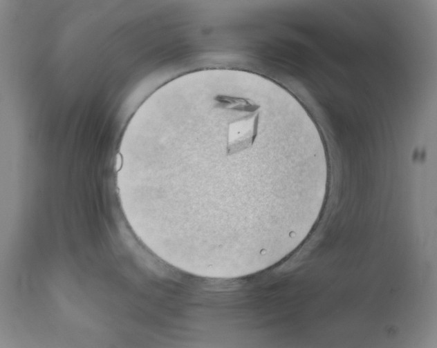 X0000111491440200908251015