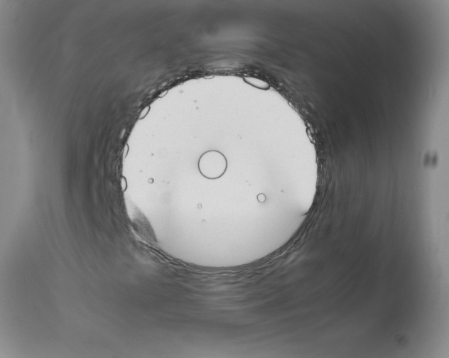 X0000111491441200908251014