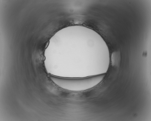 X0000111491443200908251014