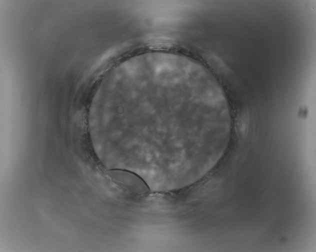 X0000111491445200908251014