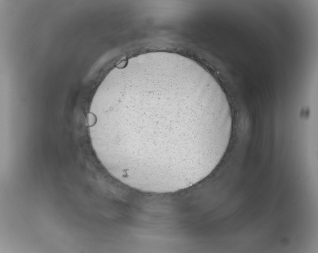 X0000111491446200908251014