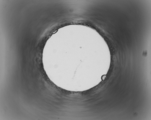 X0000111491447200908251014