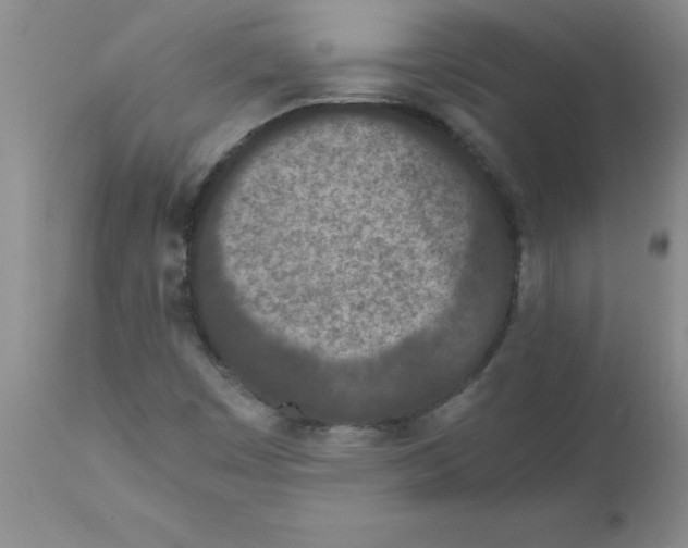 X0000111491449200908251014