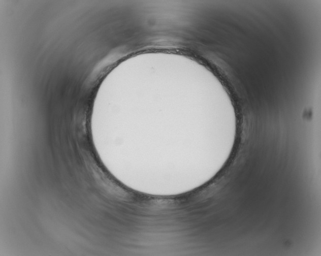 X0000111491451200908251014