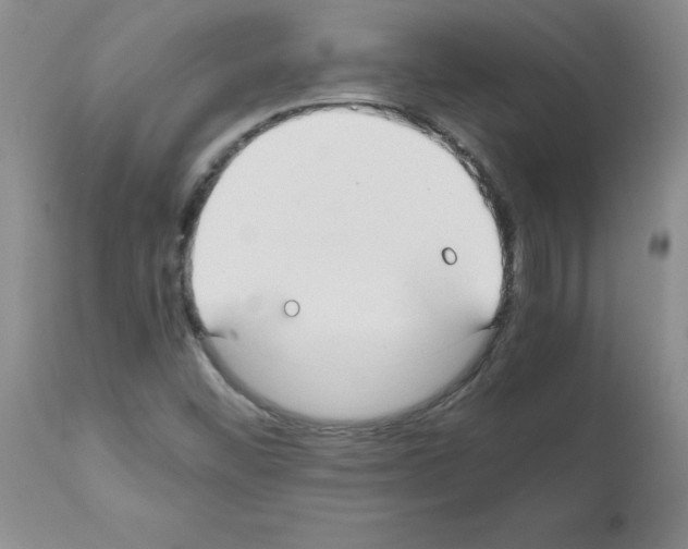 X0000111491452200908251014