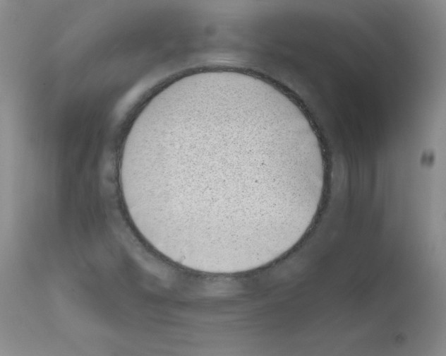 X0000111491454200908251014