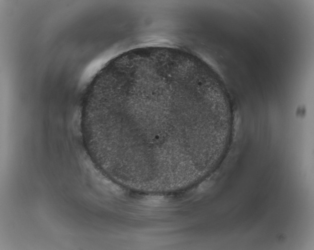 X0000111491455200908251014